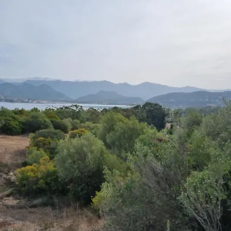 Florent Oletta * Saint-Florent (Corsica)