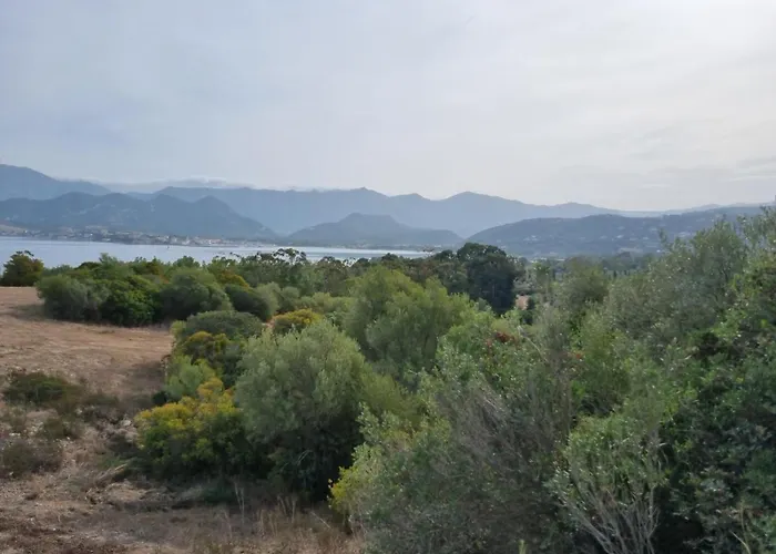 Florent Oletta * Saint-Florent (Corsica)